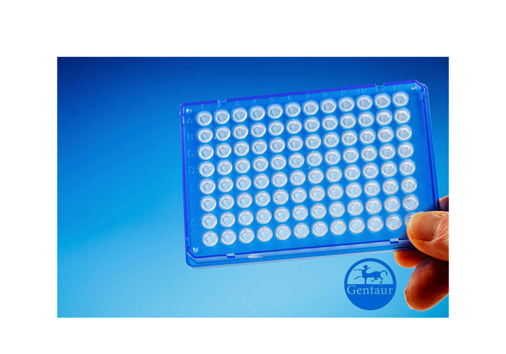 ELISA  Acetyl-NFE2L2 (K599) anti-