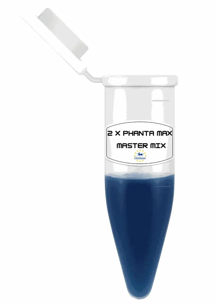 2× Phanta Max Master Mix  (Dye Plus)