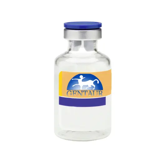 Lipofectamine™ 2000 Transfection Reagent